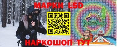 спиды Камышлов