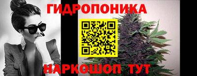 спиды Камышлов