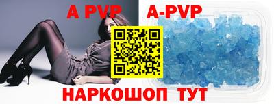 спиды Камышлов