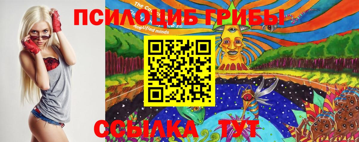 Галлюциногенные грибы мицелий Красногорск