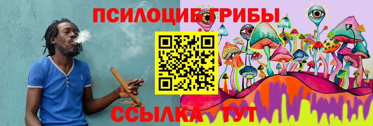 как найти закладки  Вход с VPN  Красногорск  Галлюциногенные грибы прущие грибы  Галлюциногенные грибы Psilocybe 